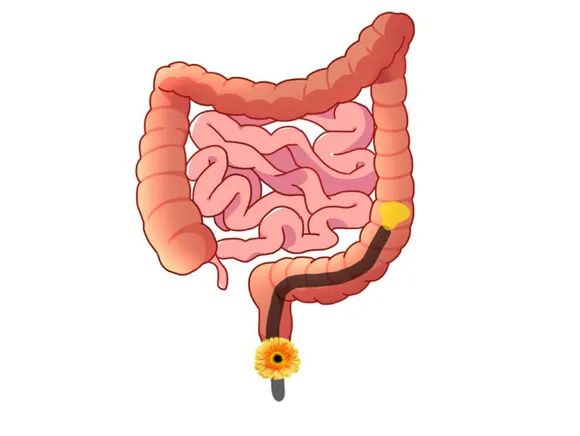 1650444984688199.jpg 640.jpg